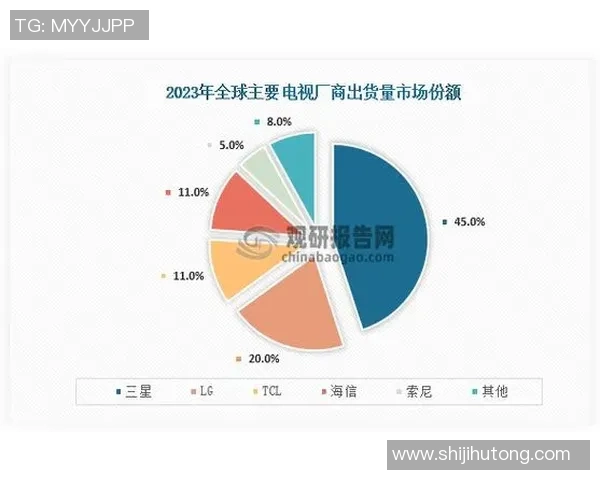 杭州排球队在钻石联赛中的节奏表现分析与未来展望 杭州排球队在钻石联赛中的节奏表现分析与未来展望