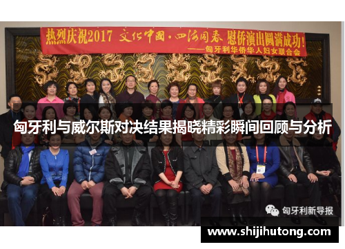 匈牙利与威尔斯对决结果揭晓精彩瞬间回顾与分析